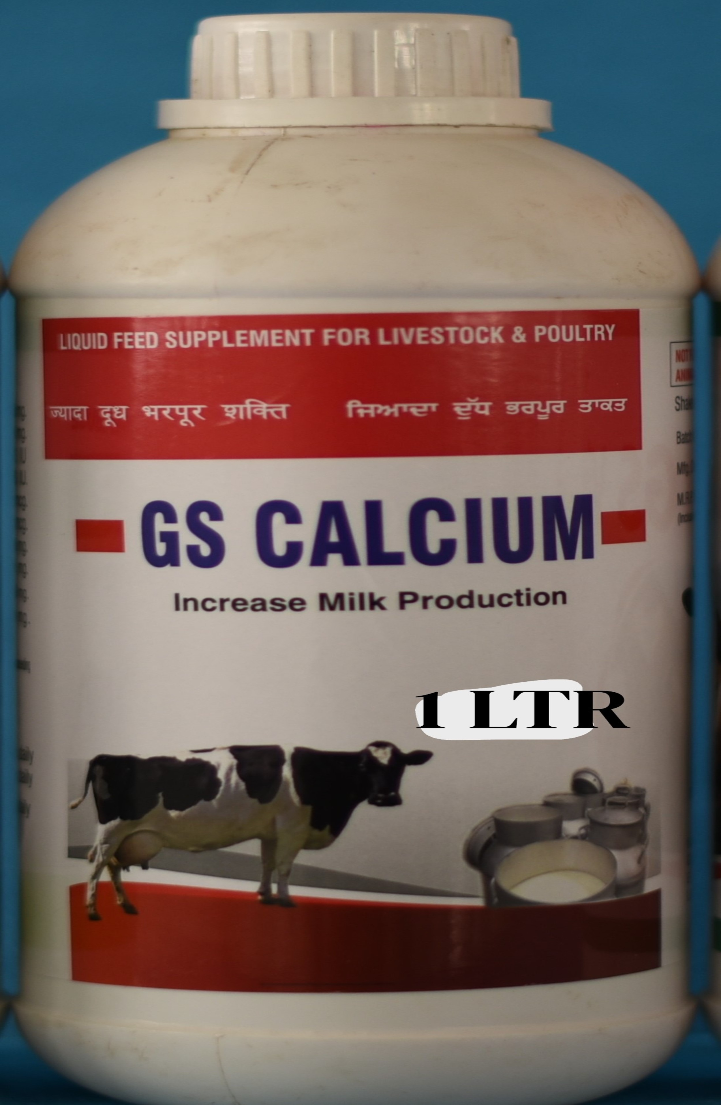 GS Calcium 1L