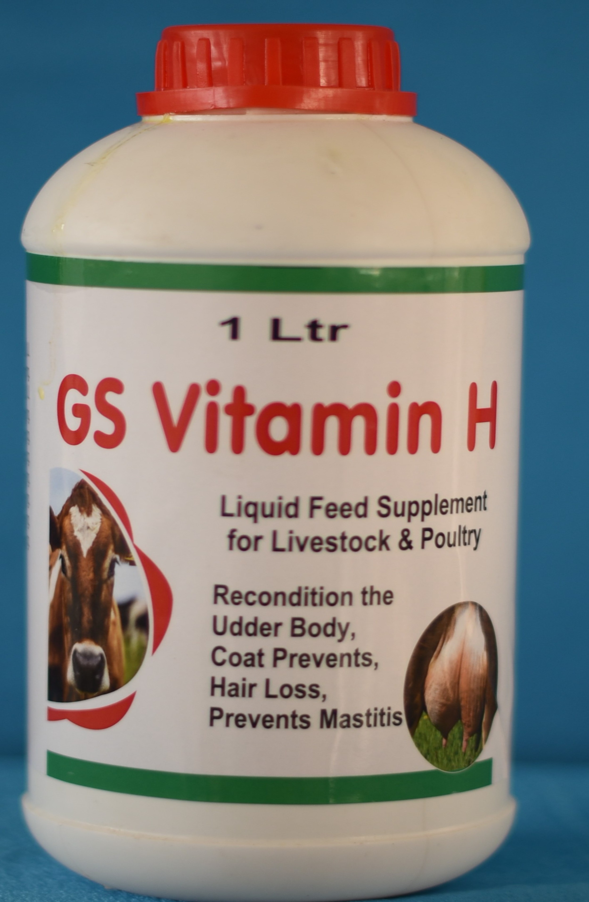 GS Vitamin H 1L